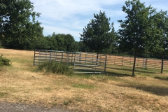 WhatsApp Image 2018-07-01 at 12.03.32